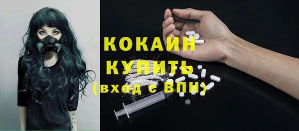 кокс Богородицк