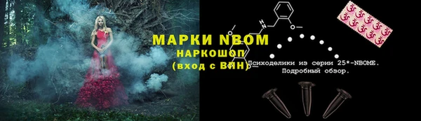 гидра Богданович