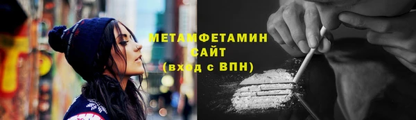 гидра Богданович