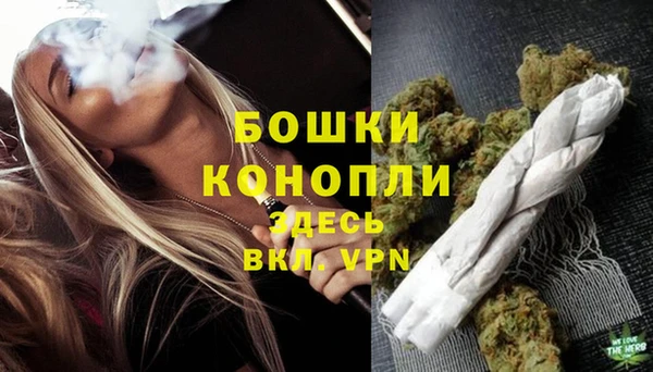 гидра Богданович