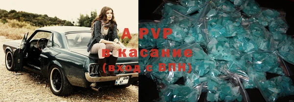 гидра Богданович