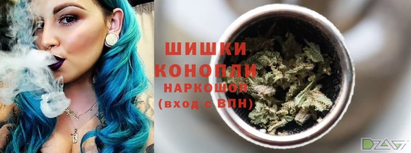 индика Бугульма