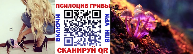 Галлюциногенные грибы прущие грибы  Бронницы 